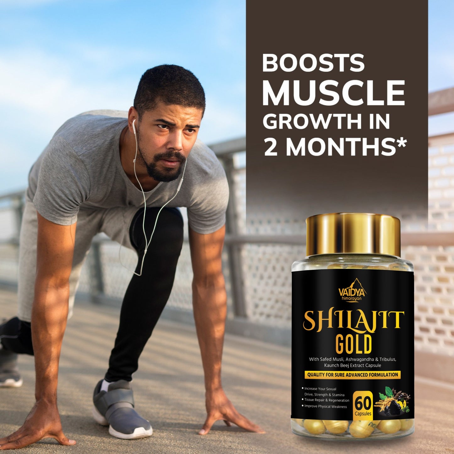 Vaidya Himalayan Shilajit Gold Capsule