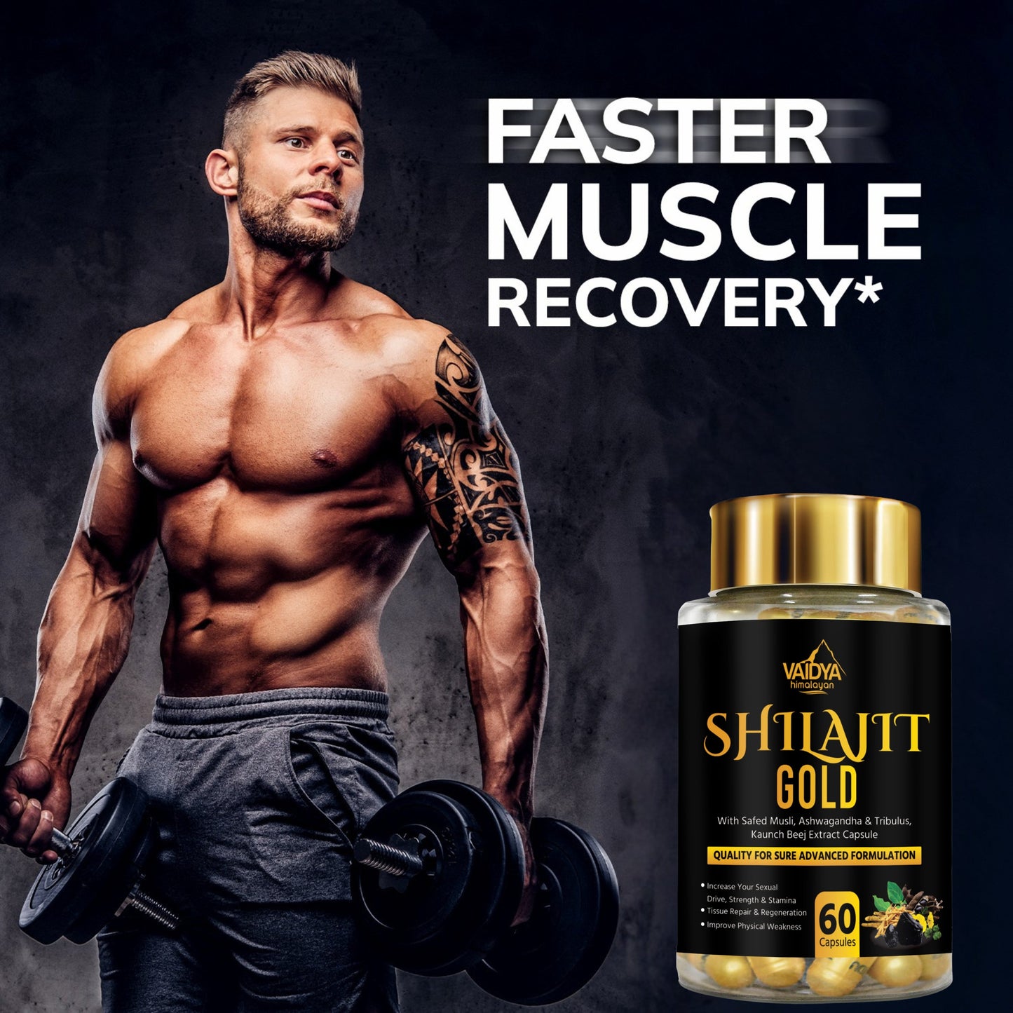 Vaidya Himalayan Vitality Combo- Shilajit Capsules + Enhancement Oil