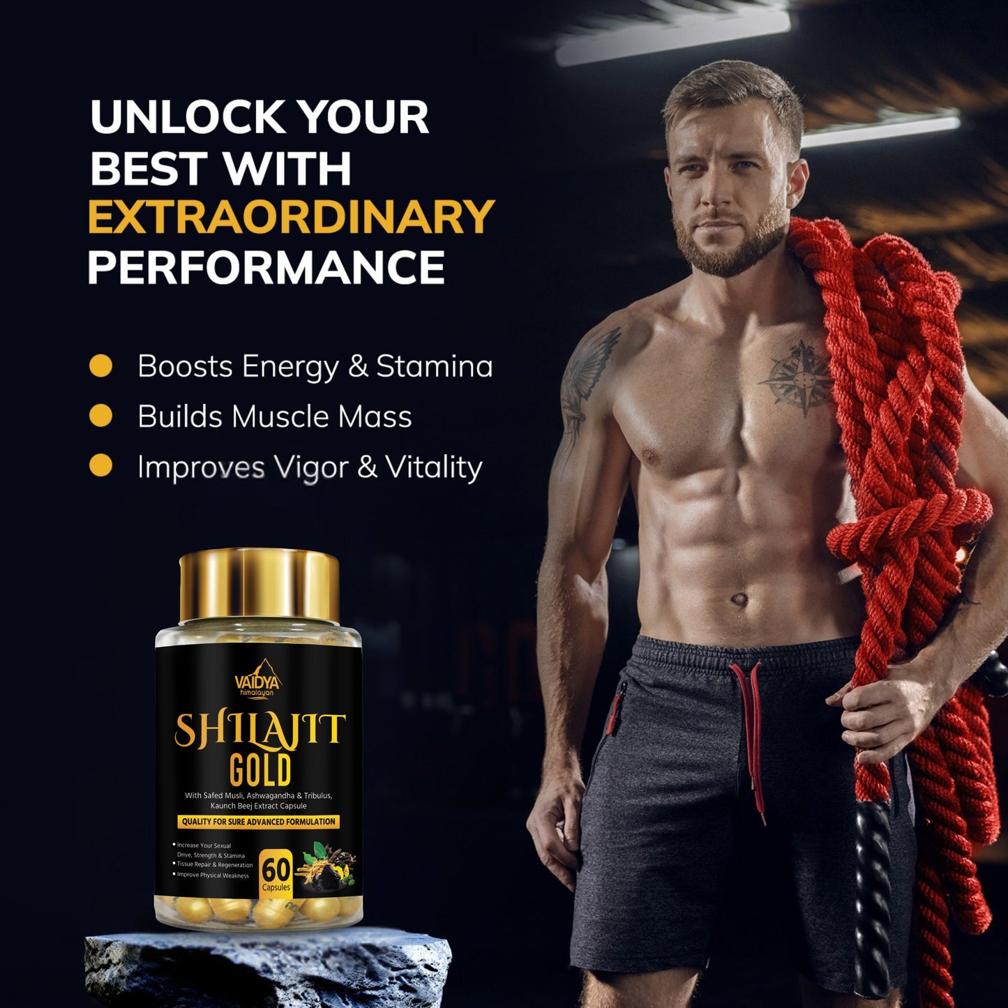 Vaidya Himalayan Shilajit Gold Capsule