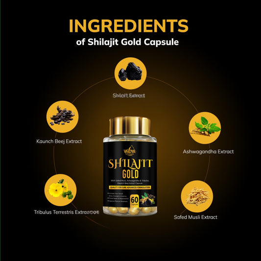 Vaidya Himalayan Shilajit Gold Capsule