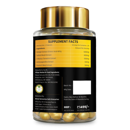 Vaidya Himalayan Shilajit Gold Capsule